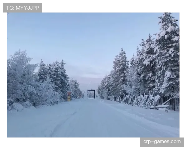 芬兰雪地训练成新潮流：冬季运动员借力极寒环境提升竞技水平