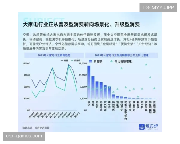 雷恩数据分析揭示2023年全球消费新趋势：市场格局迎来关键转变